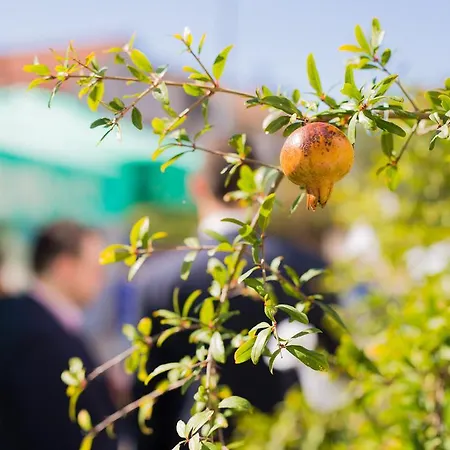 Morosini 公寓 比奥格勒·纳·莫鲁