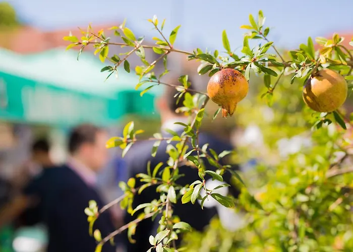 Morosini Апартаменты Биоград-на-Мору